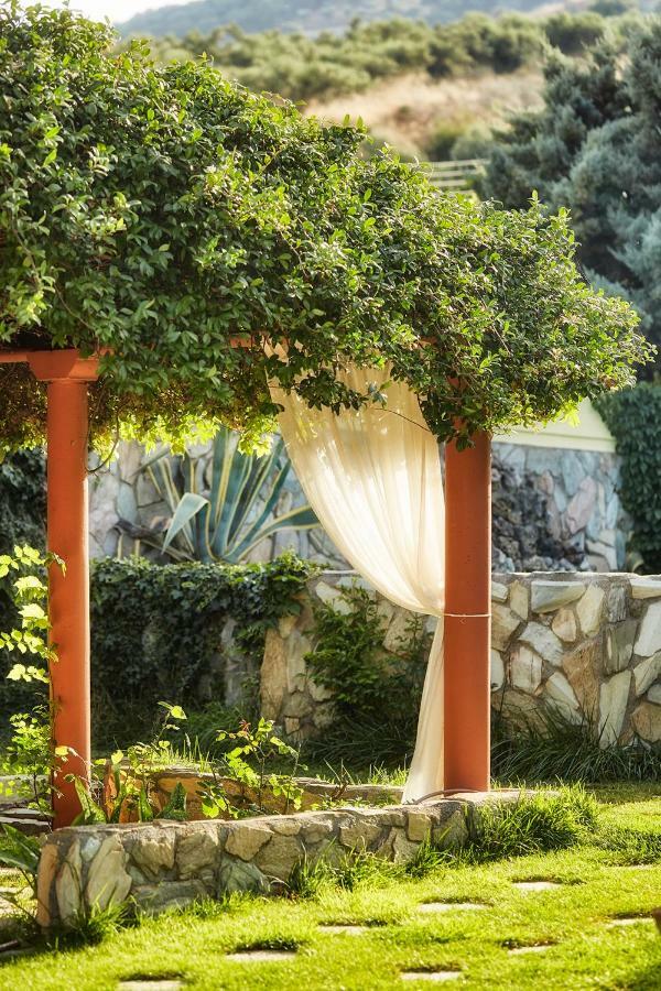 Dm Elegant And Charming Villa Foinikia  Luaran gambar